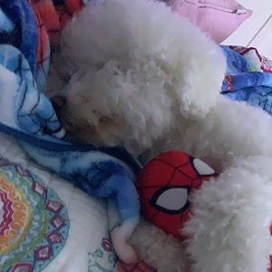 Meet your Posher, Brooke